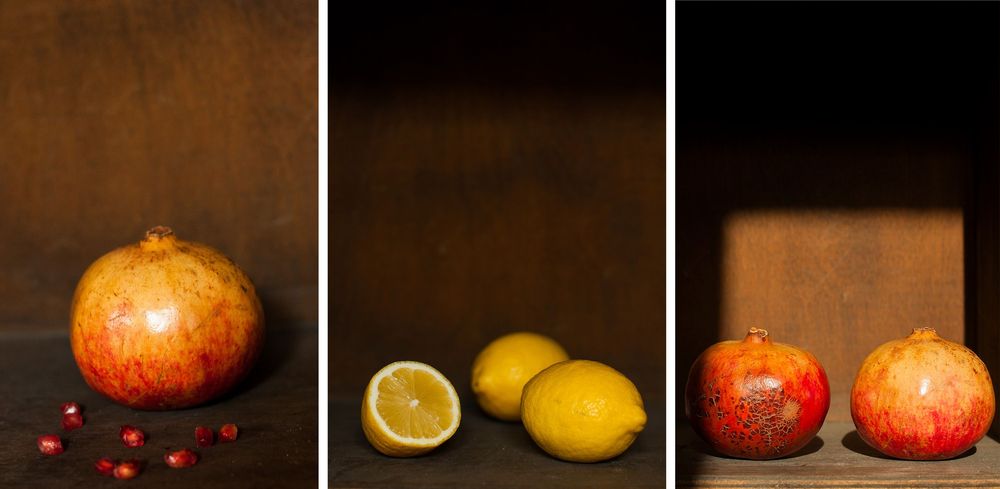 triptico limones y gr.jpg